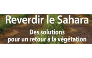 Fondation Reverdir le Sahara