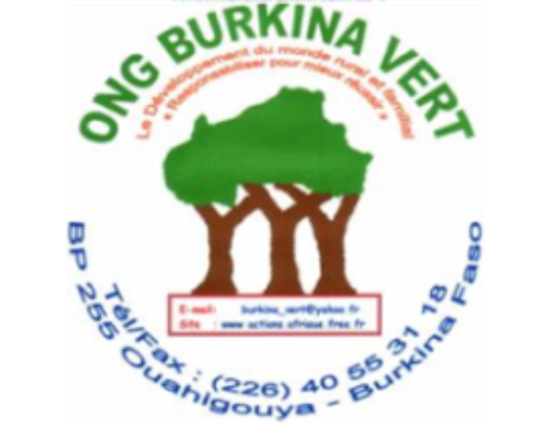ONG Burkina Faso Vert