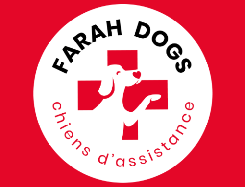 Association FARAH DOGS