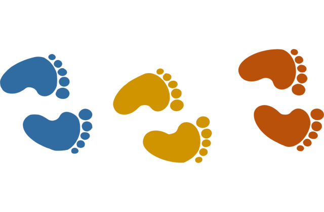 ASSOCIATION PETITS PAS - KLEINE SCHRITTE